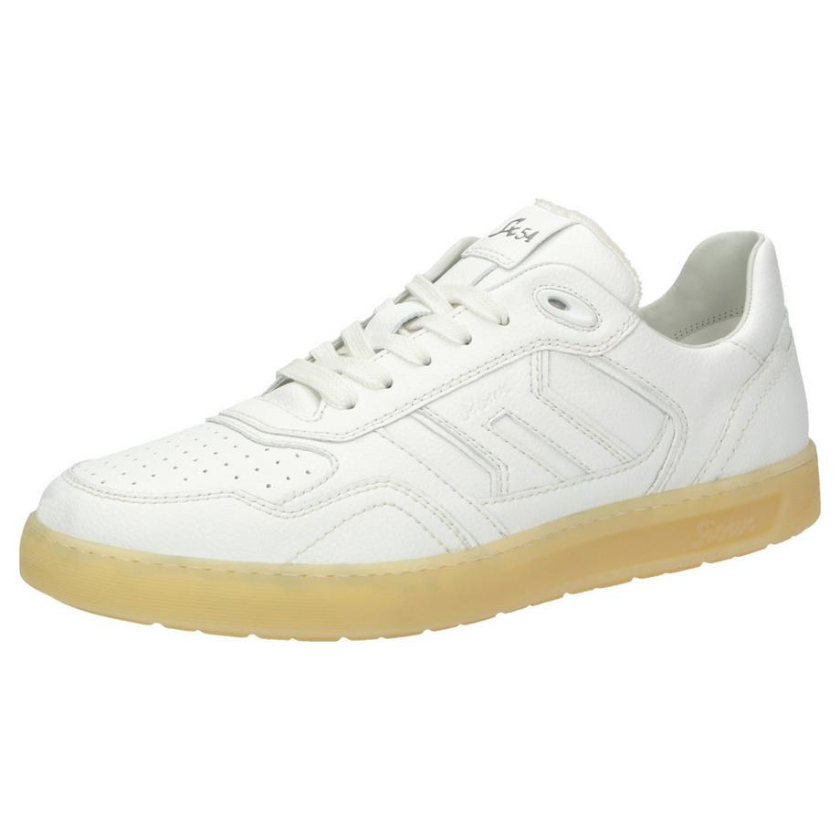 Sneaker Tedroso-712