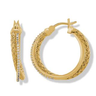 Charles Garnier  Goldene Silberohrringe, 