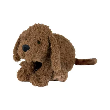 Labradoodle Larry (38cm)