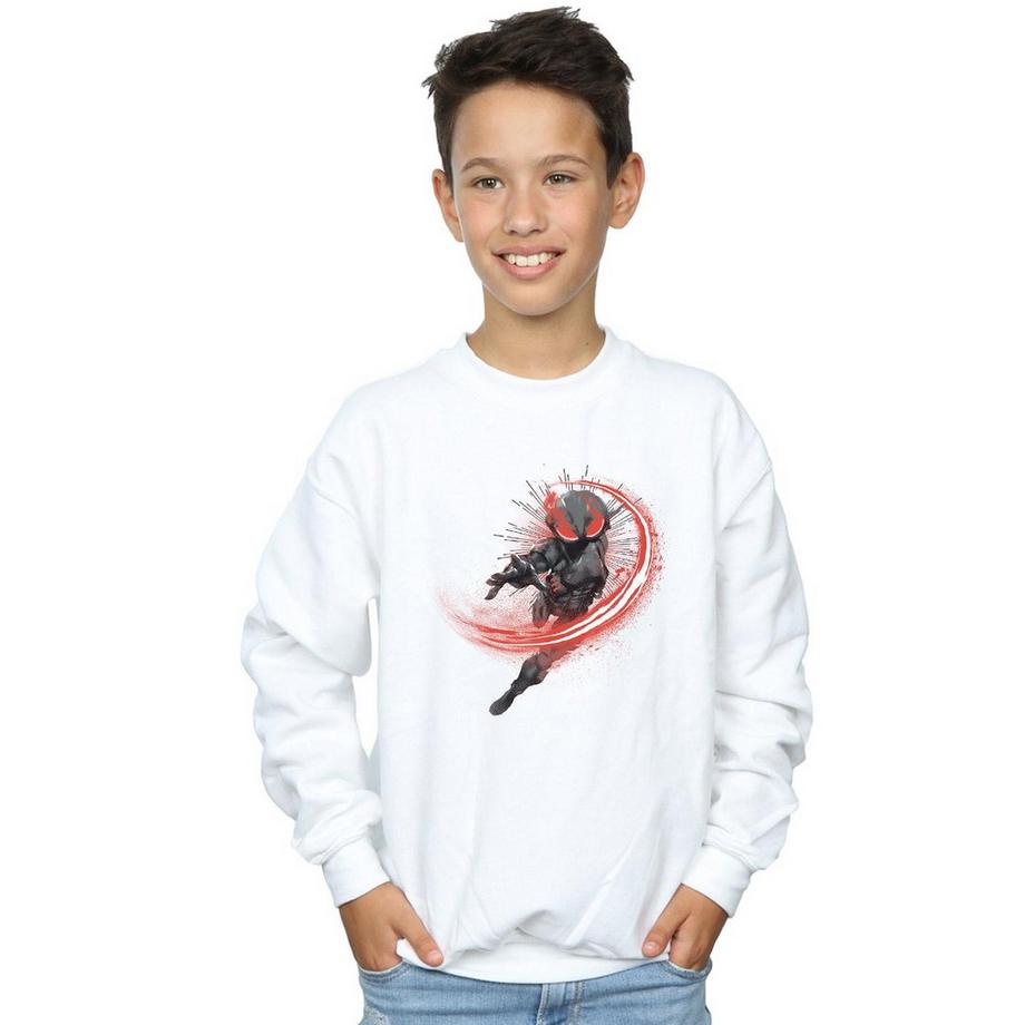 DC COMICS  Sweatshirt 