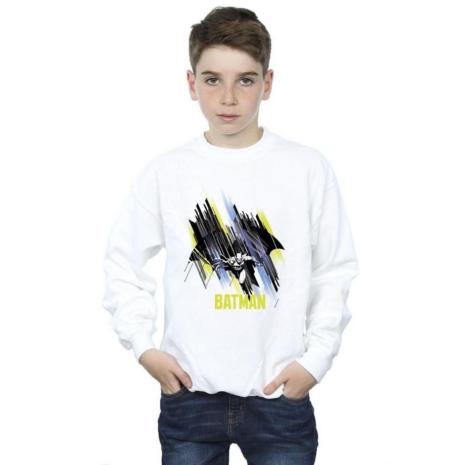 DC COMICS  Sweatshirt 