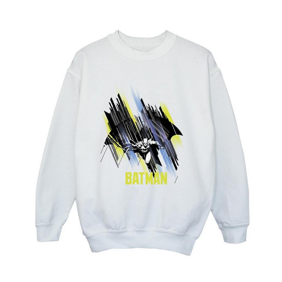 DC COMICS  Sweatshirt 