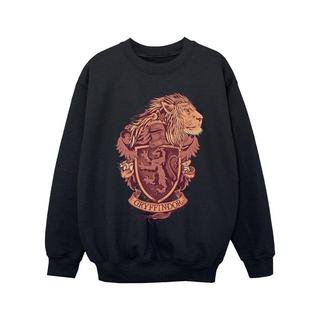 Harry Potter  Gryffindor Sweatshirt 