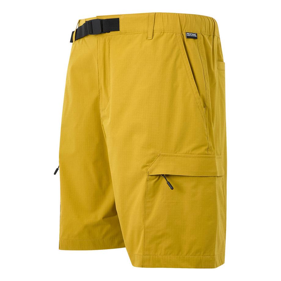 Regatta Mallen Regular Fit Shorts  