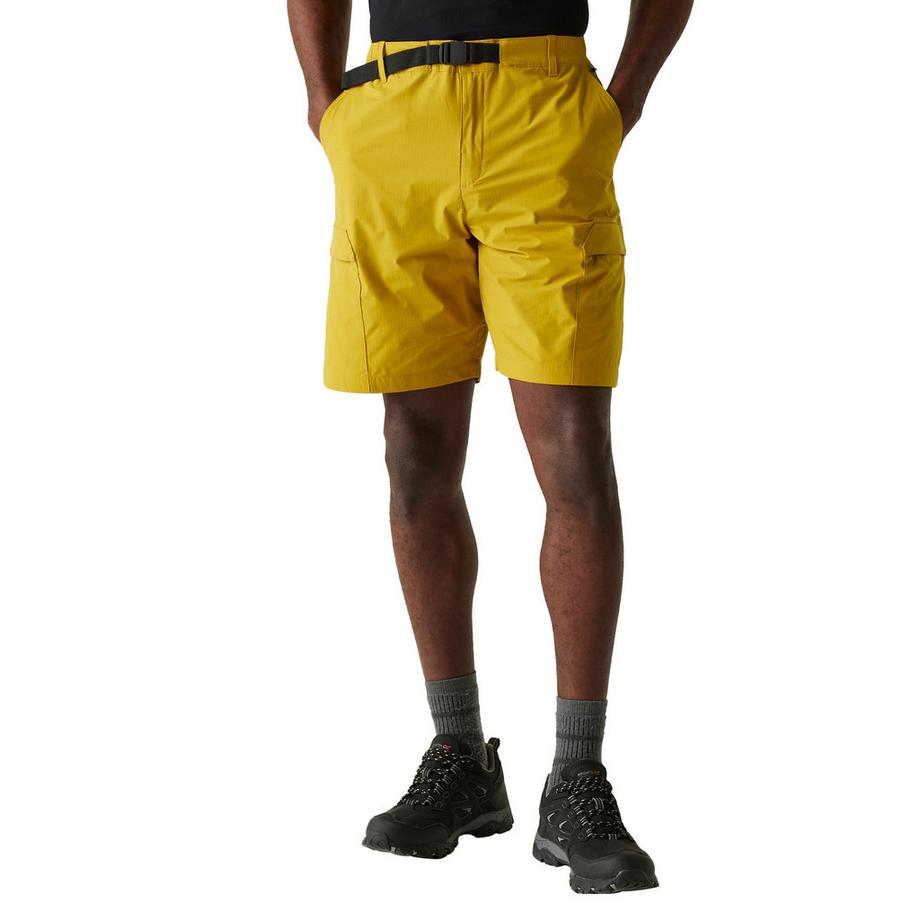 Regatta Mallen Regular Fit Shorts  