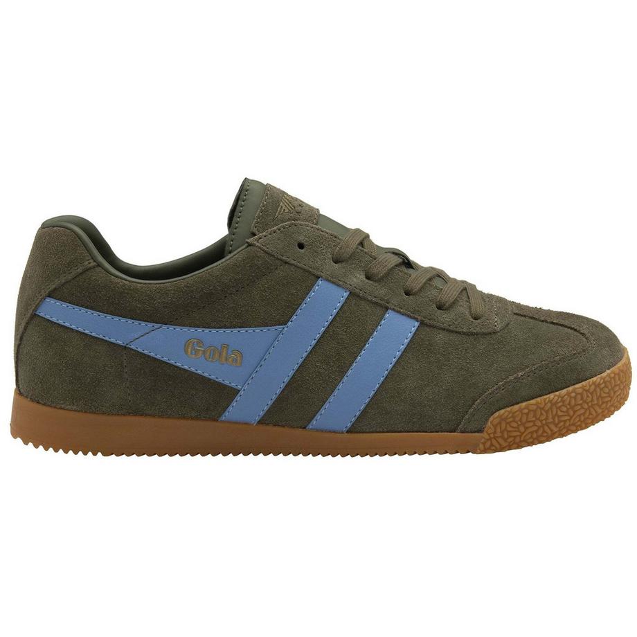 Baskets harrier