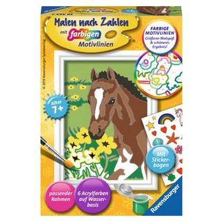 Ravensburger  Malen nach Zahlen Fohlen 