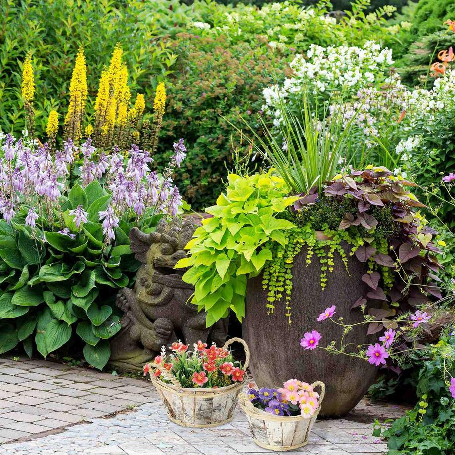 B2X Runder Blumentopf Birke 3er Set  