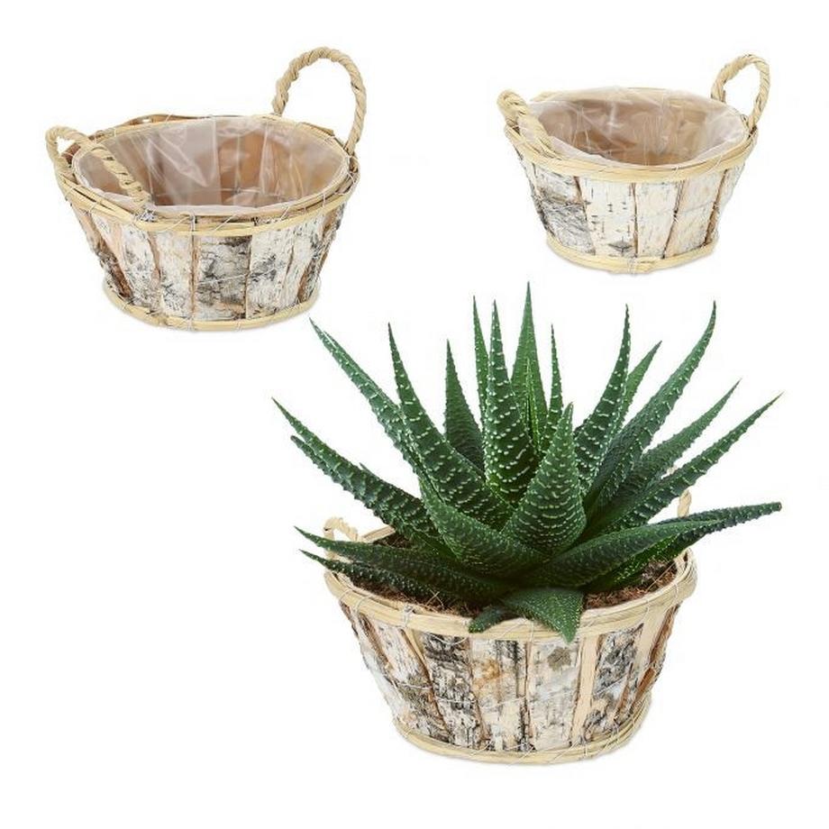 Runder Blumentopf Birke 3er Set