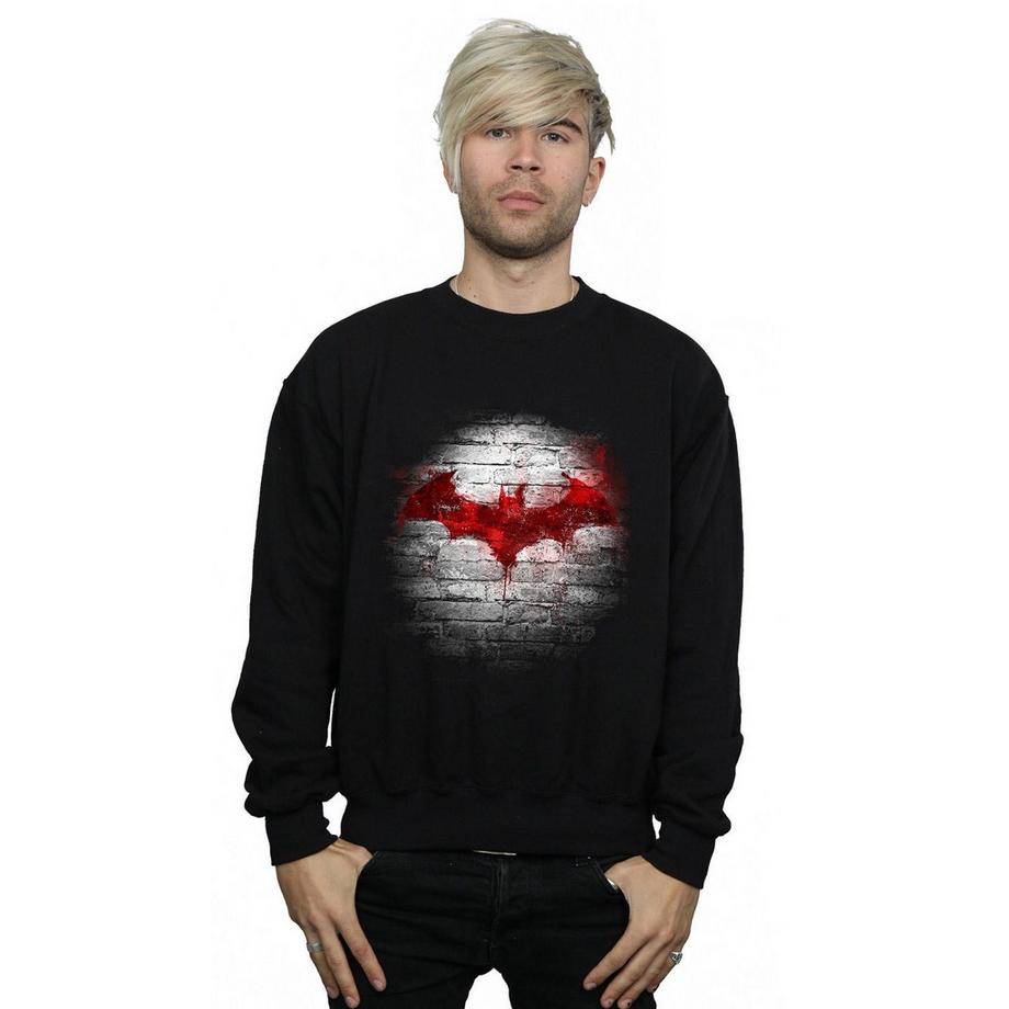 DC COMICS Batman Logo Regular Fit Felpa  