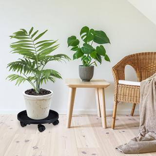 B2X Pflanzenroller Kunststoff Groß 2er Set  