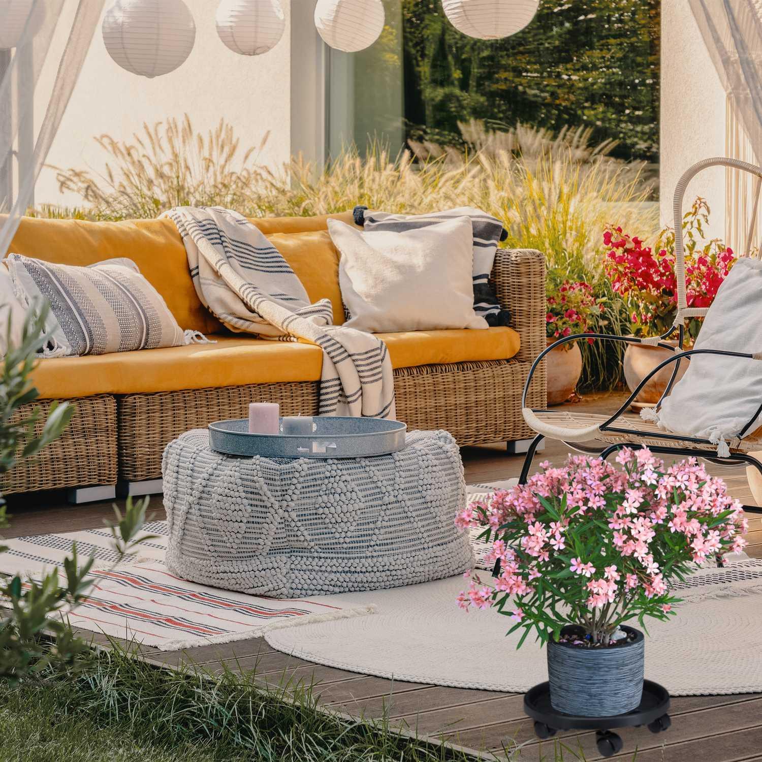 B2X Pflanzenroller Kunststoff Groß 2er Set  