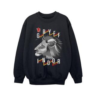 Harry Potter  Gryffindor Sweatshirt 