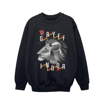 Gryffindor Sweatshirt