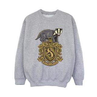 Harry Potter  Hufflepuff Sweatshirt 