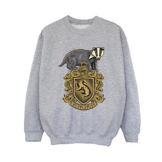 Harry Potter  Sweat HUFFLEPUFF 