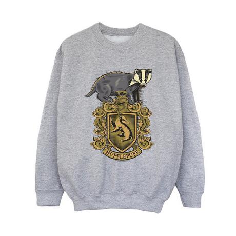 Harry Potter  Hufflepuff Sweatshirt 