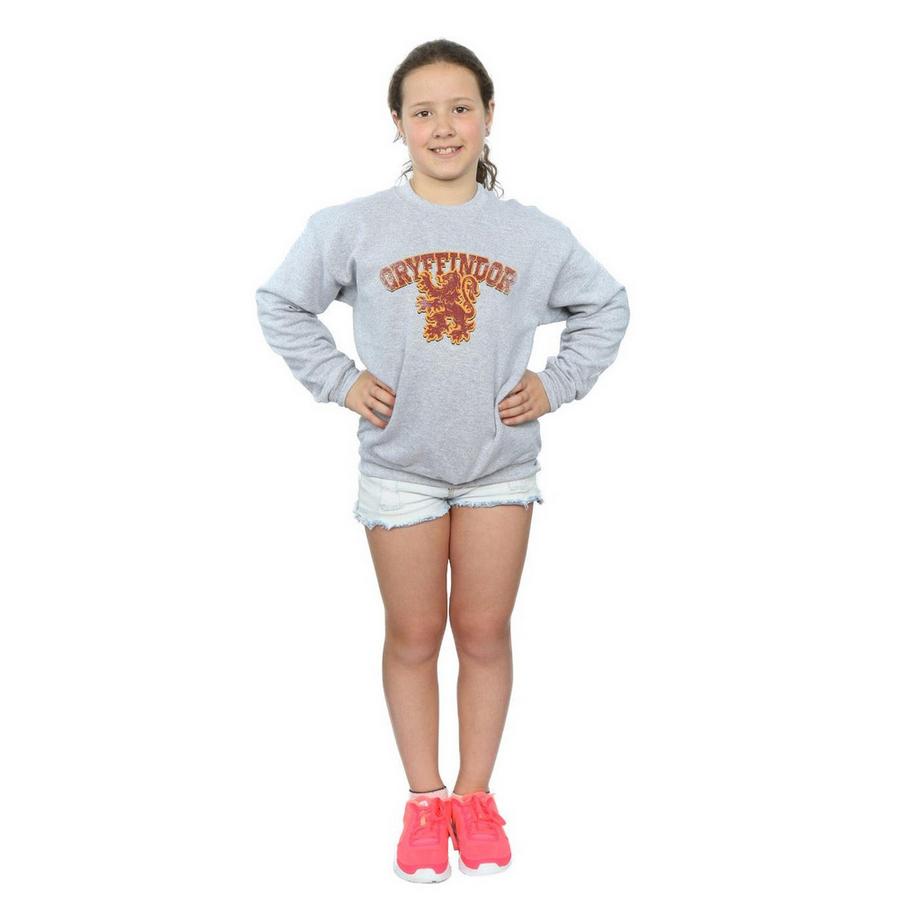 Harry Potter  Gryffindor Sweatshirt 