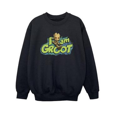 Guardians Of The Galaxy I Am Groot Sweatshirt