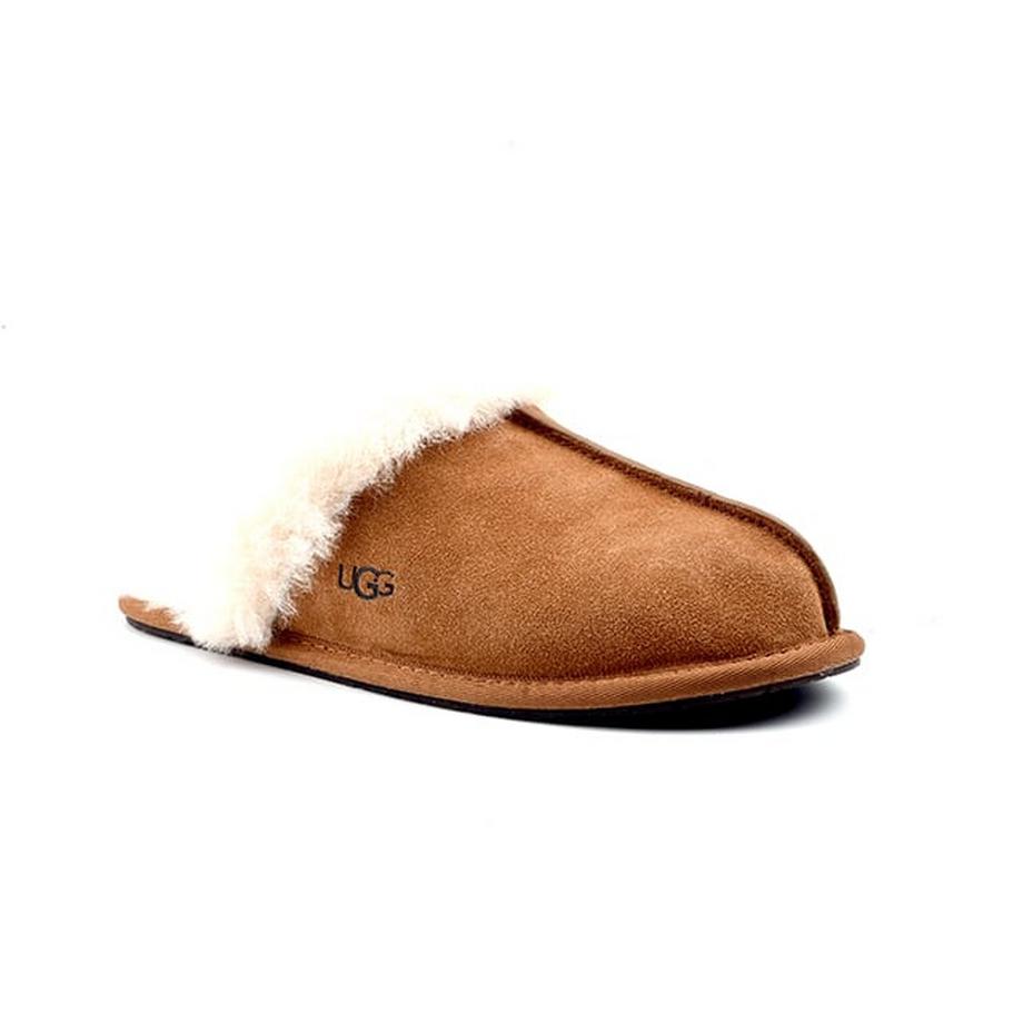 Scuffette II-10