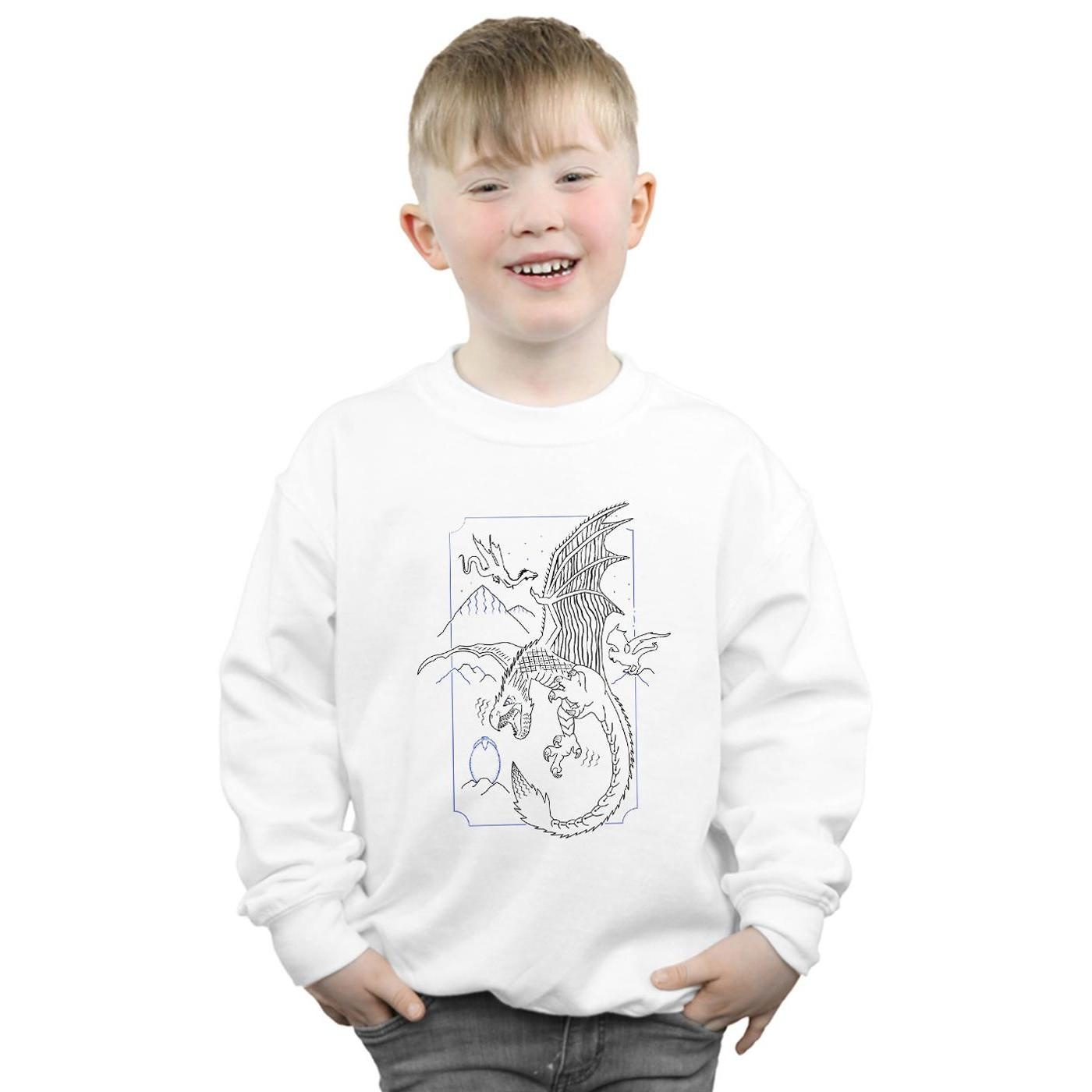 Harry Potter  Sweatshirt 