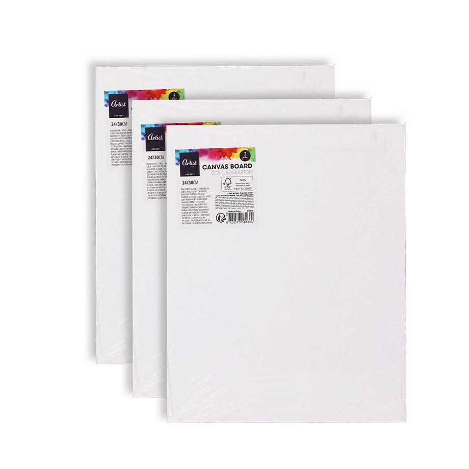 FS-STAR  Maler Leinwand 3er Set 