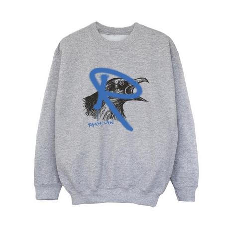 Harry Potter  Ravenclaw Sweatshirt 