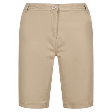 Bayletta Shorts