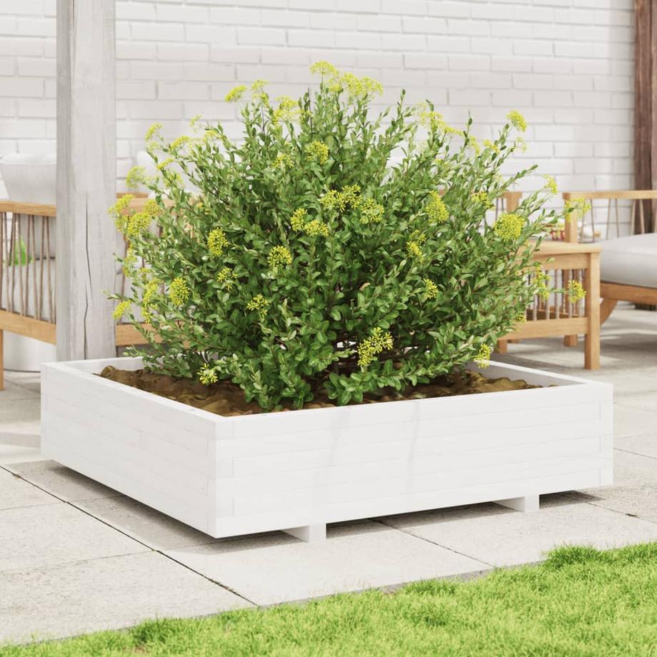 VidaXL Jardinière bois de pin  
