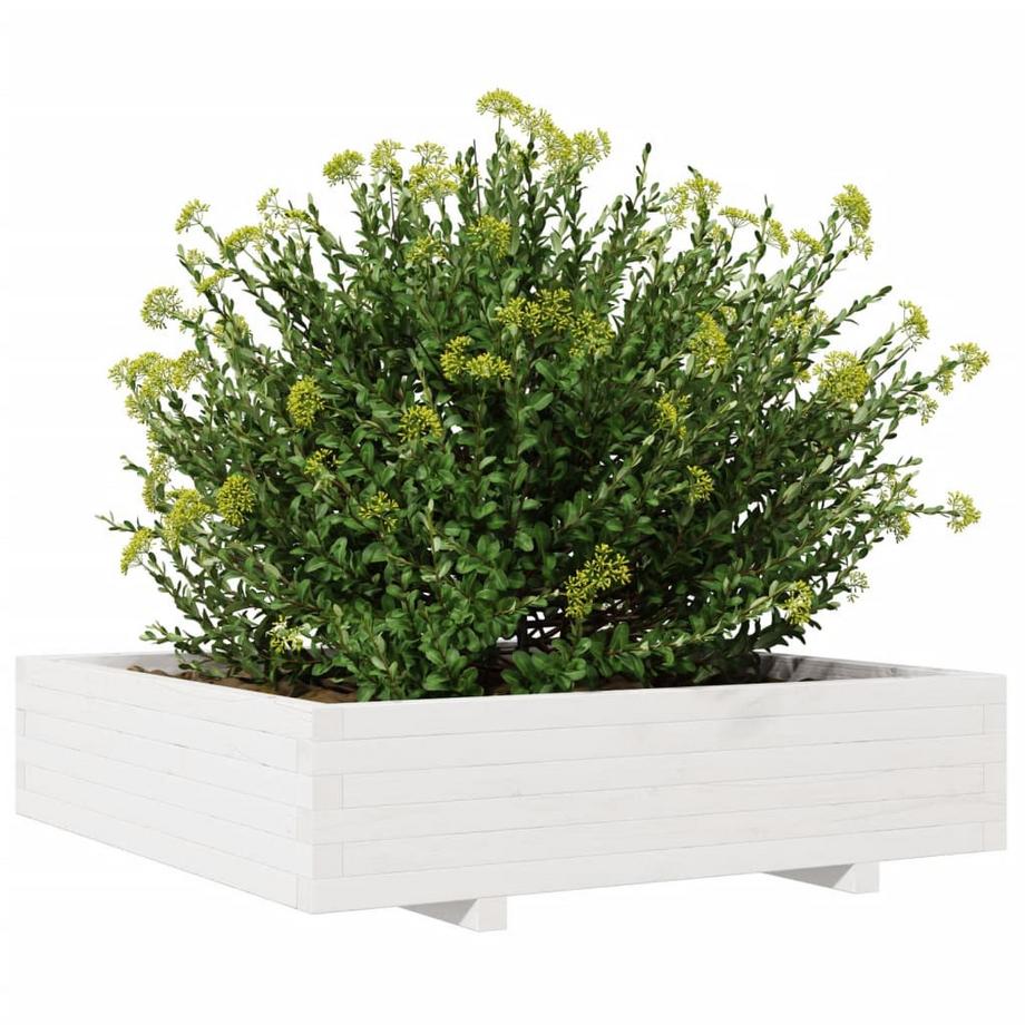 VidaXL Jardinière bois de pin  