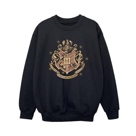 Harry Potter  Sweatshirt 