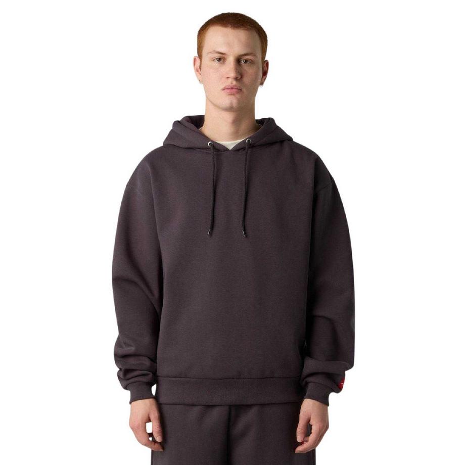 THE NORTH FACE  Sweat À Capuche Redbox 
