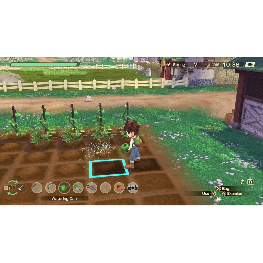 Marvelous  Story of Seasons: A Wonderful Life 