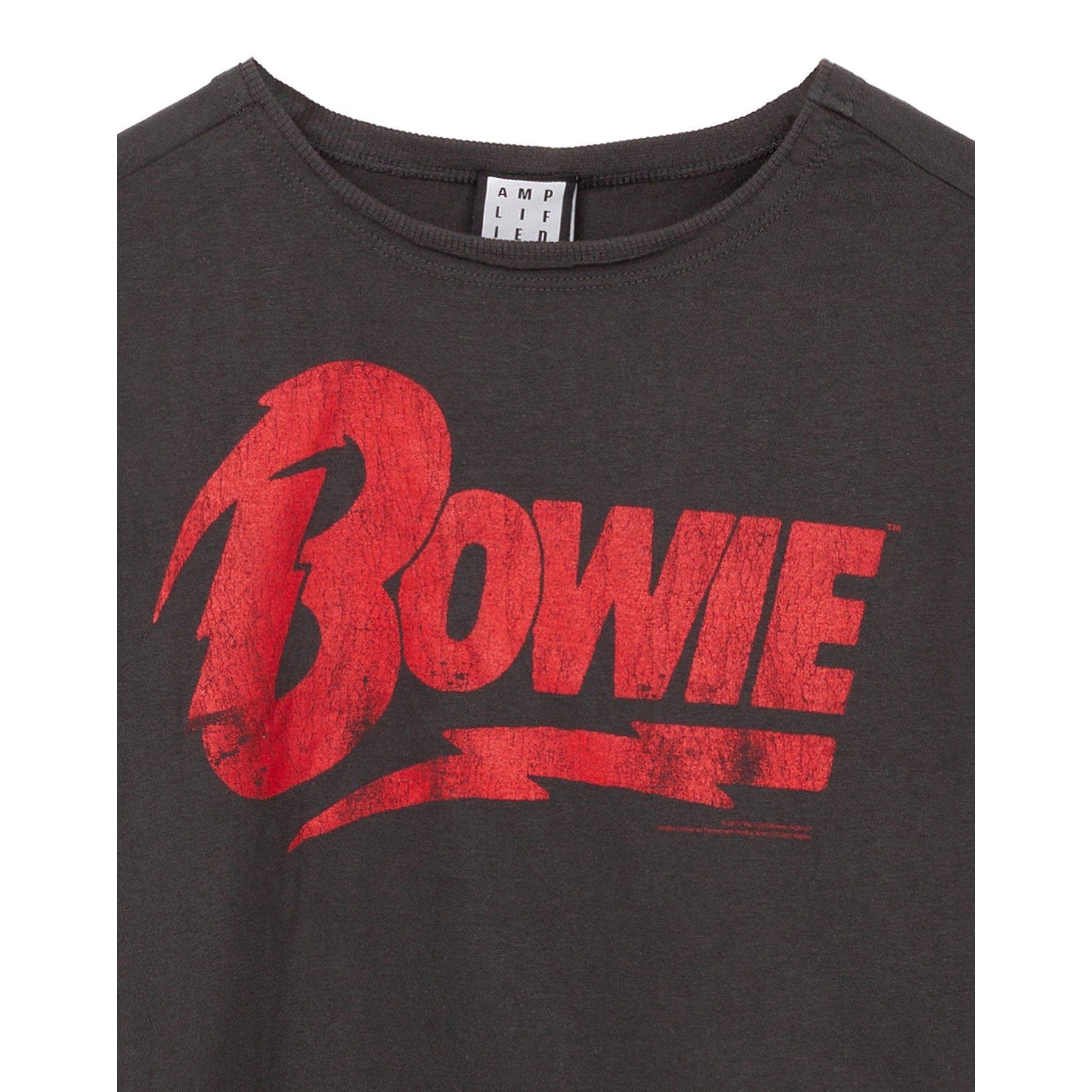 Amplified Top Court Logo  