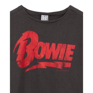 Amplified Top Court Logo  