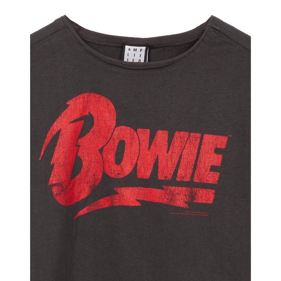 Amplified Top Corto Logo  