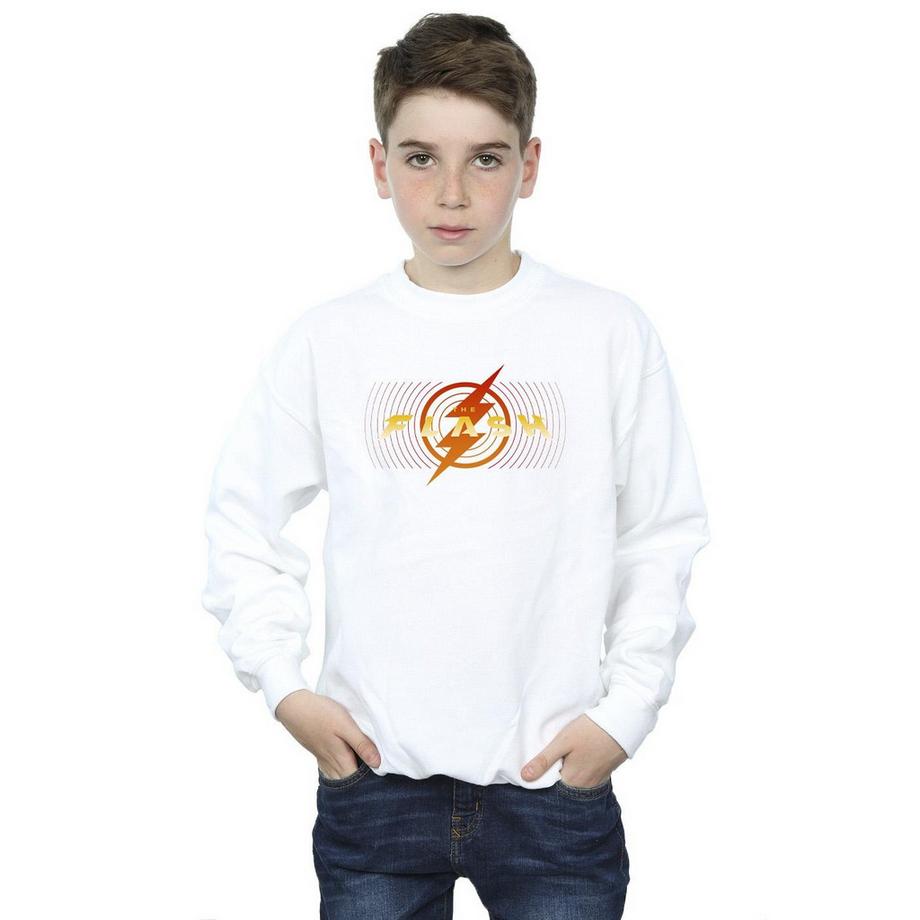 DC COMICS  Sweatshirt 