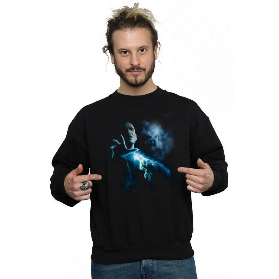 Harry Potter Voldemort Sweatshirt  