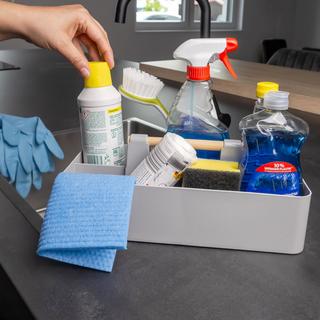 Intirilife Organizer Caddy mit Griff  