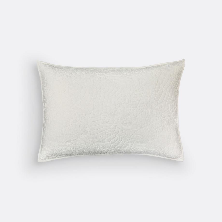 La Redoute Intérieurs Kissenbezug Tropical Baumwollperkal  