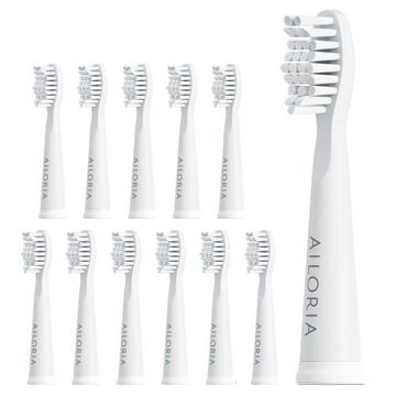 FLASH TRAVEL Têtes de brosse - lot de 12