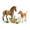 Schleich  Schleich Horse Club Horse Club Sarah’s baby animal care 