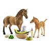 Schleich  Schleich Horse Club Horse Club Sarah’s baby animal care 
