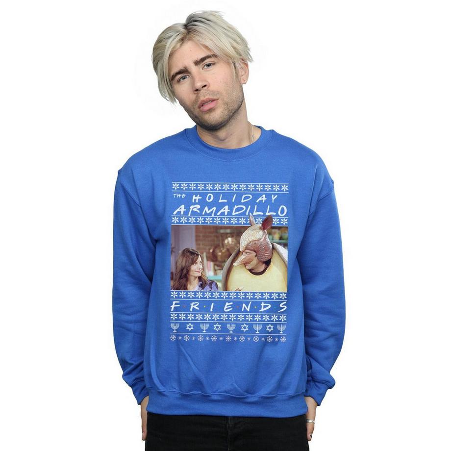 Friends Holiday Armadillo Sweatshirt  