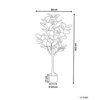 Beliani Kunstpflanze aus Kunststoff FIG TREE  