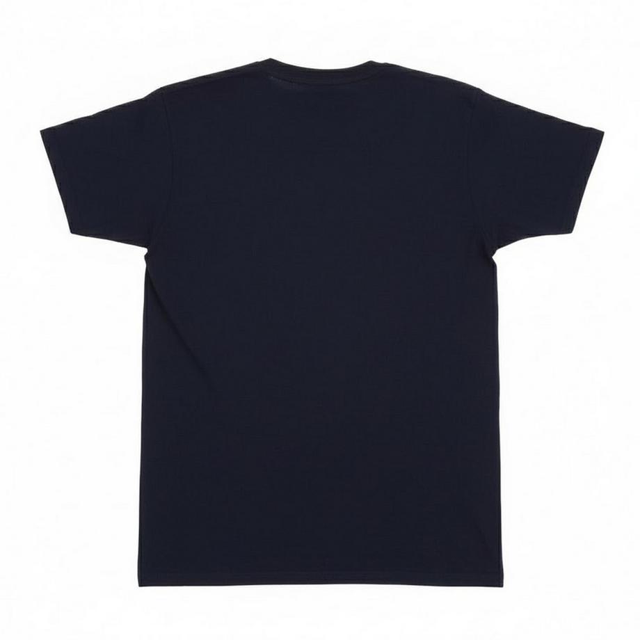 DC T-Shirt Imprimé Blue Beetle  