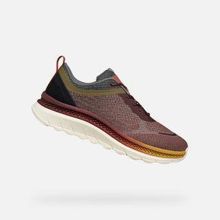 GEOX  sneakers spherica actif 