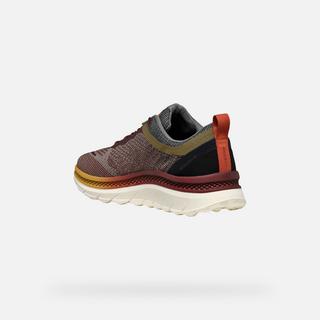 GEOX  sneakers spherica actif 