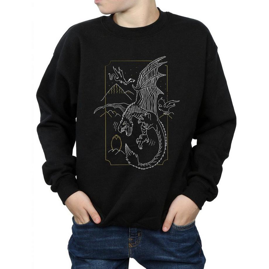 Harry Potter  Sweatshirt 