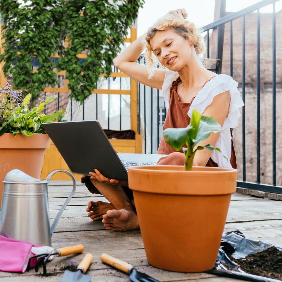 B2X Anzuchtkasten mit Spalier  